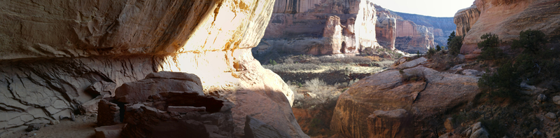 Illustration for article titled Desert Love